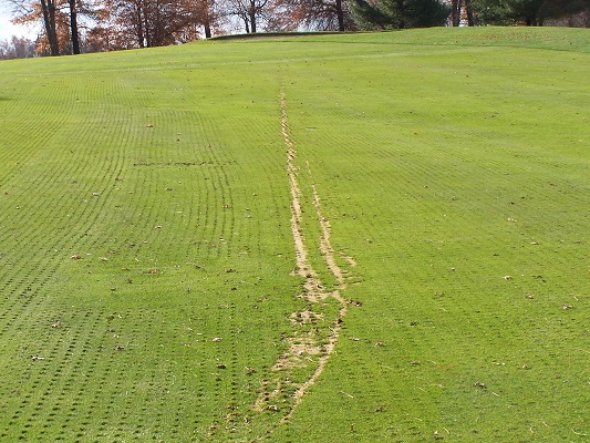 高尔夫球场草皮污染