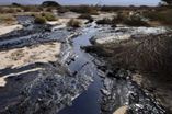 水库液压油污染